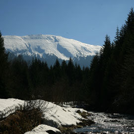 Teren